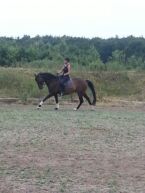 Billede