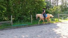 Billede