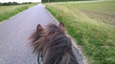 Billede