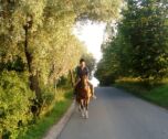 Billede