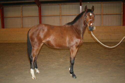 eb massage hvo intet vover, intet vinder eb massage hvo intet vover, intet vinder