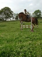 Billede