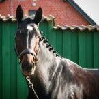 Billede