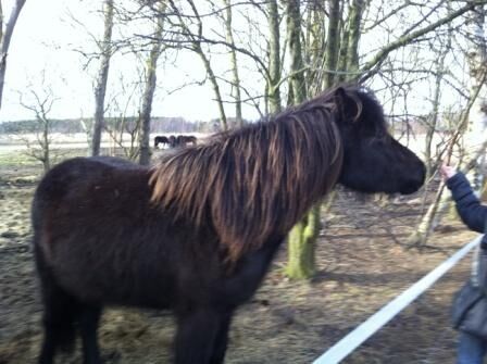 voksen ven chat Odense voksen ven chat Odense