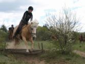Billede