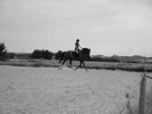 Billede