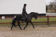Billede