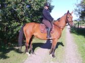 Billede