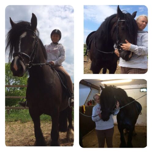 Dantes plads 1 flotte damer billeder Dantes plads 1 flotte damer billeder