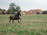 Billede