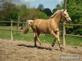 Billede