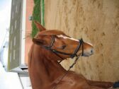 Billede