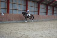 Billede