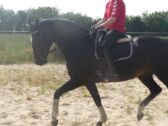 Billede
