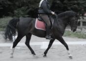 Billede