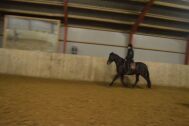 Billede