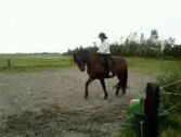 Billede