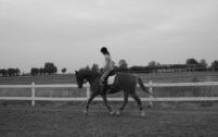 Billede