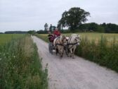 Billede