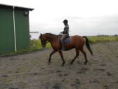 Billede