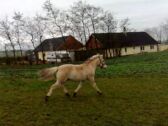 Billede