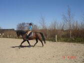 Billede