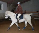 Billede