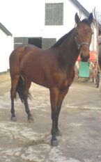Billede