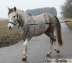 Billede