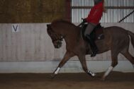 Billede