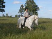 Billede