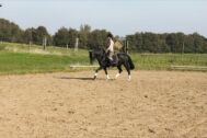 Billede