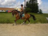 Billede