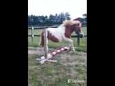 Billede