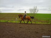 Billede