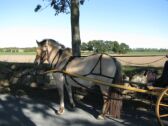 Billede