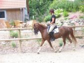Billede
