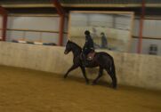 Billede
