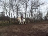Billede