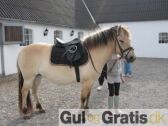 Billede