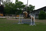 Billede
