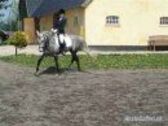 Billede