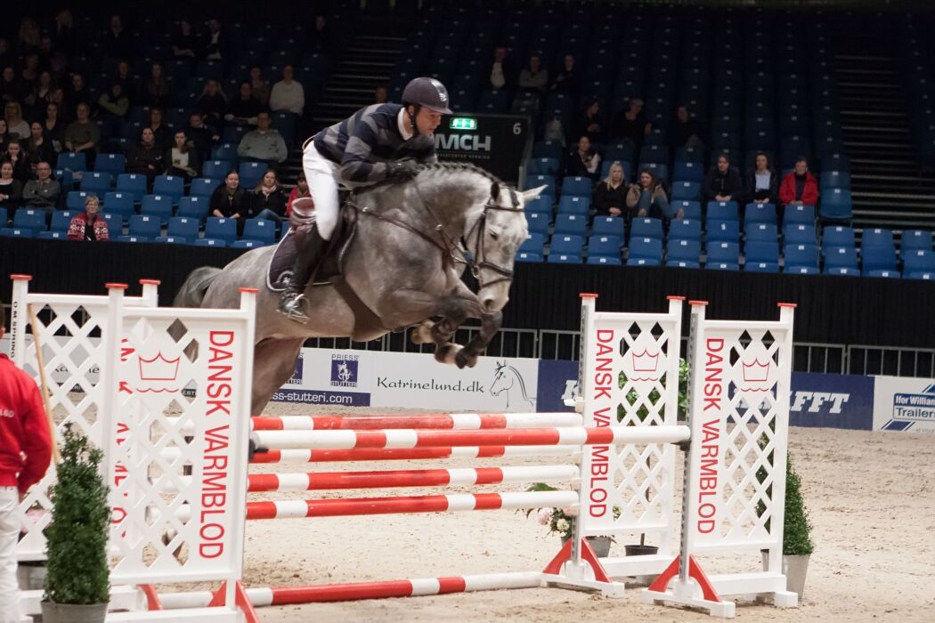 norsk-sejr-i-gp-i-csi1-hos-absolute-horses-nyheder-heste-nettet-dk
